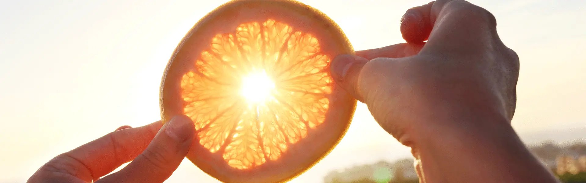 Orange slice see through