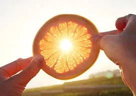 Orange slice see through