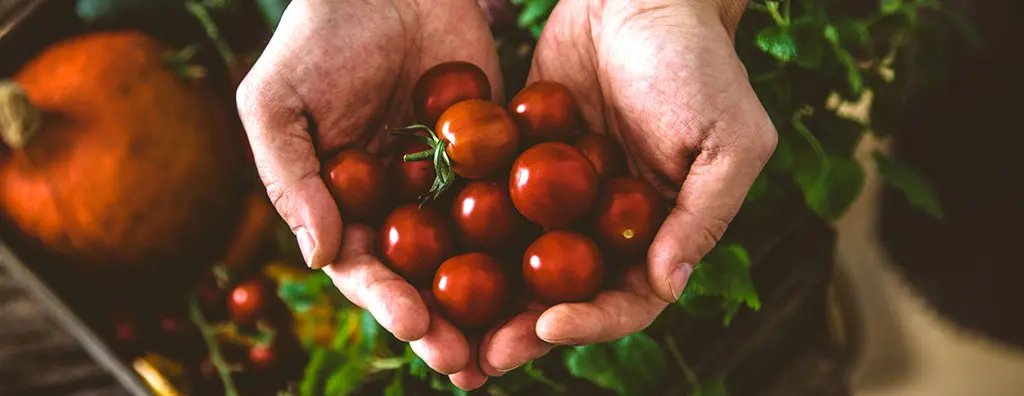 Cherry tomatoes