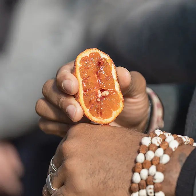 Zesty citrus ingredients