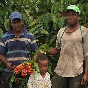 Guarana farmers