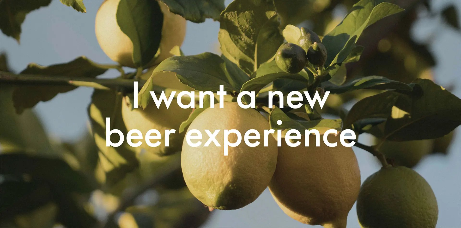 I want a new beer experience