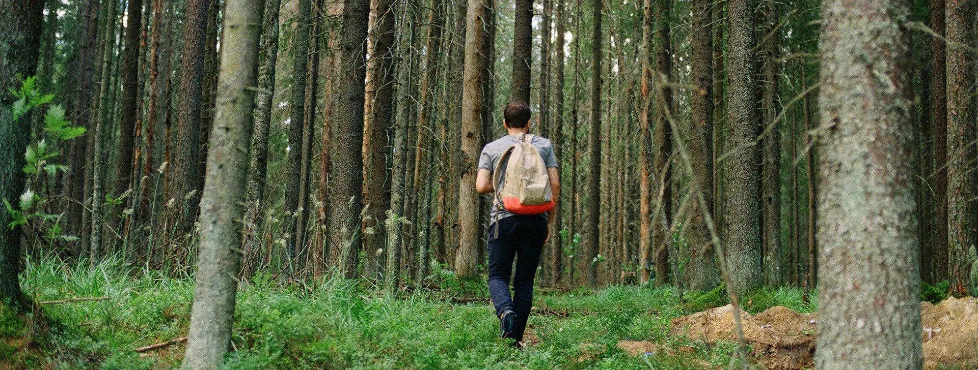 Hiking in forest