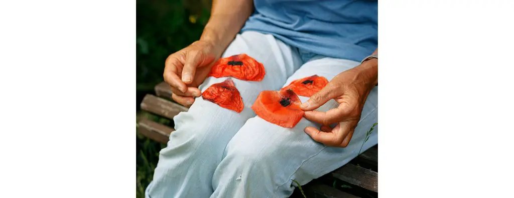 Man counting poppies