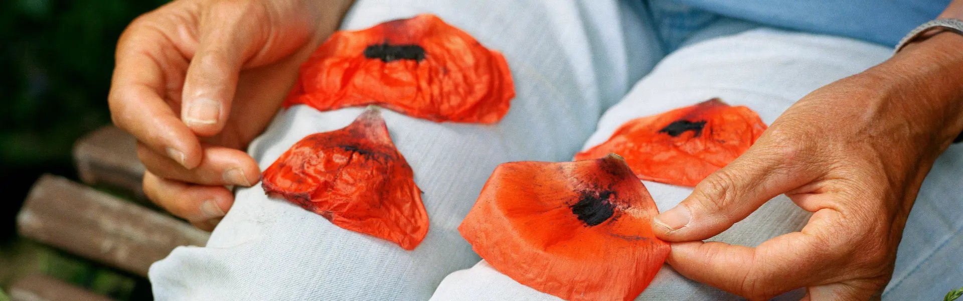 Man counting poppies