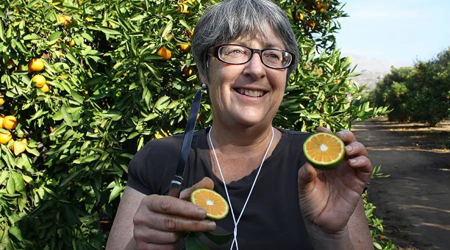 Dr Tracy Kahn, curator of the Givaudan Citrus Variety Collection at UCR