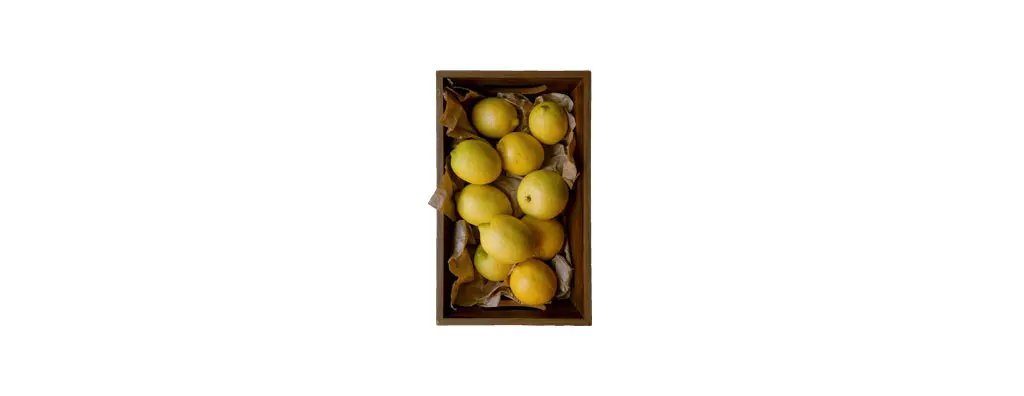 Femminello lemon, Italy