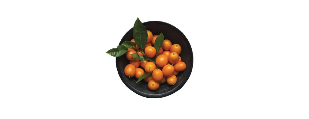 Meiwa kumquat, China