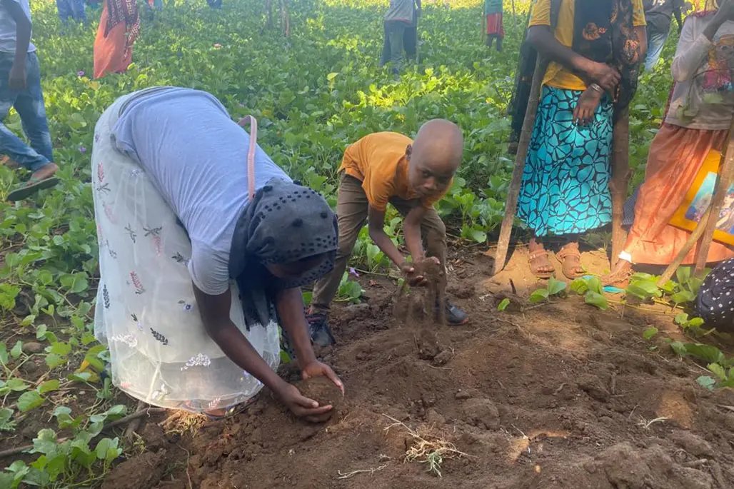 Planting trees