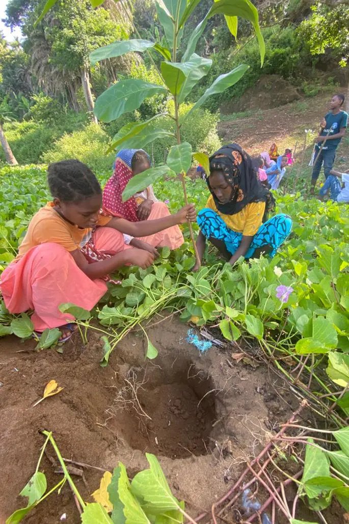 Planting trees