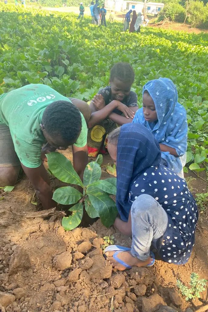 Planting trees