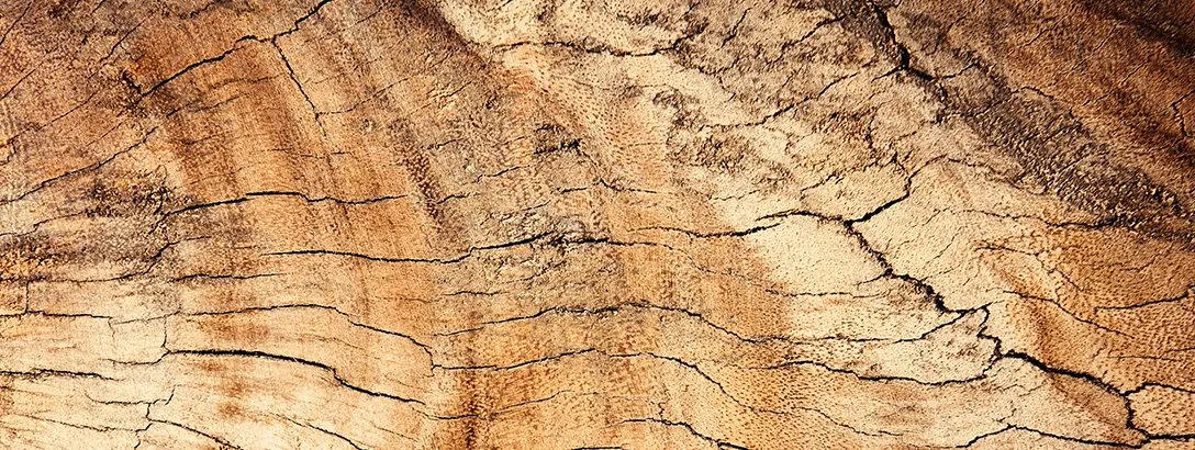Wood