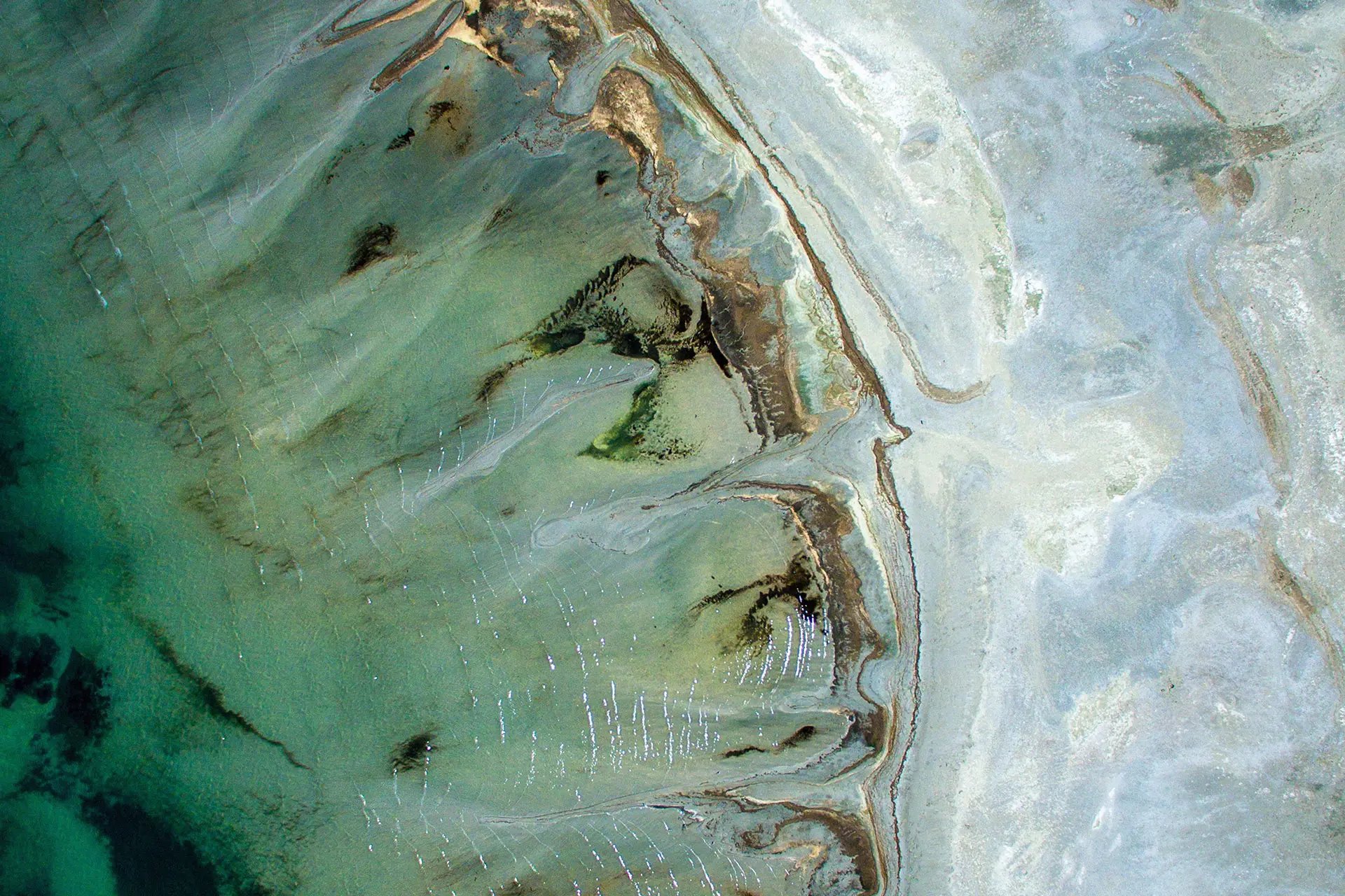 Givaudan Flavours and fragrances to create for happier, healthier lives