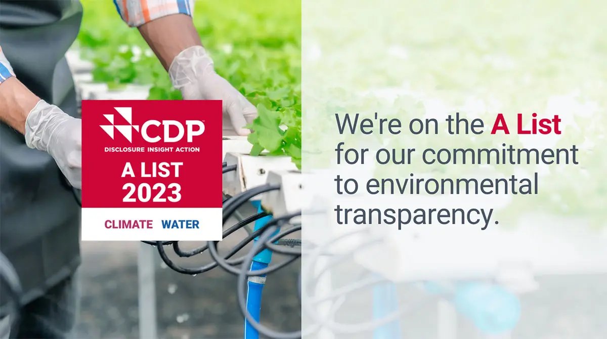 CDP score 2023