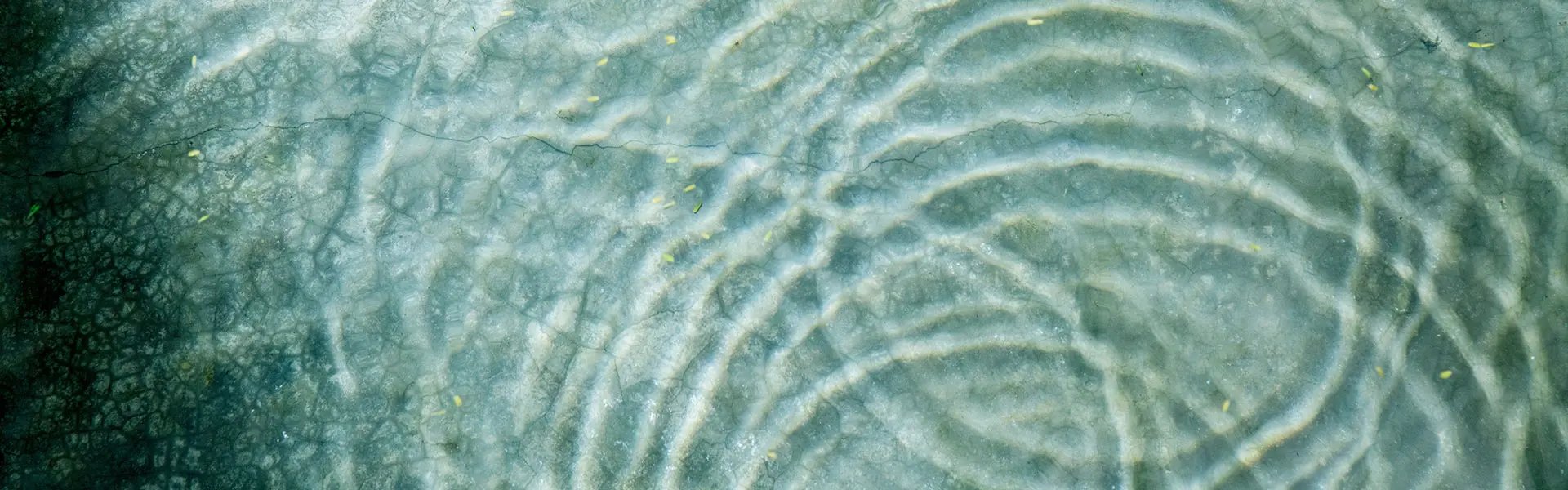 Water ripples