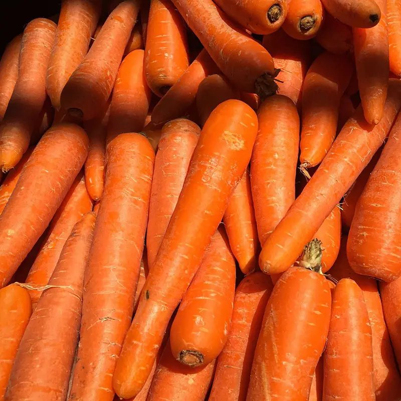 Carrots