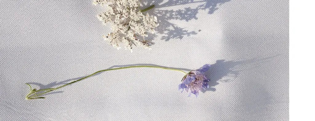 Flowers on a piece of cloth