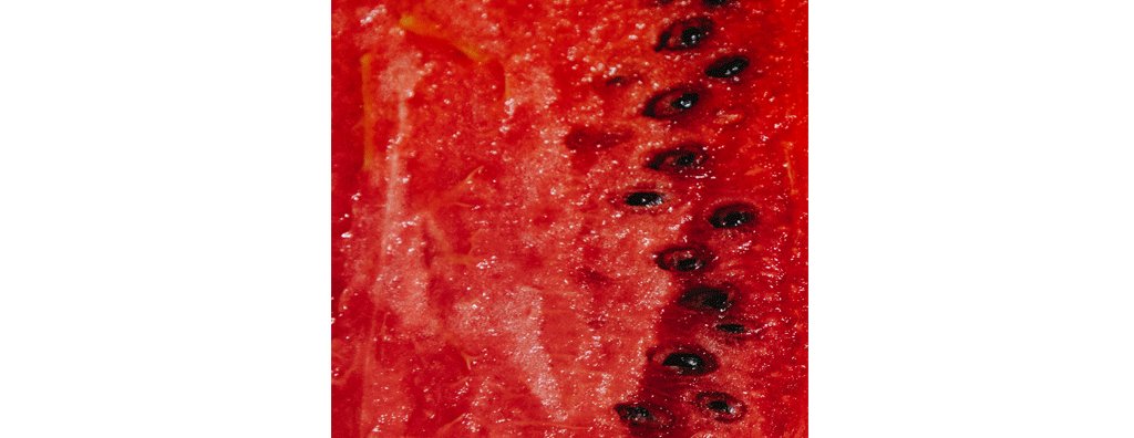 Slice of watermelon