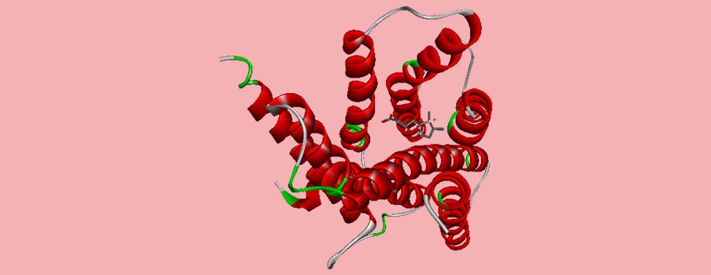 Bitter receptor