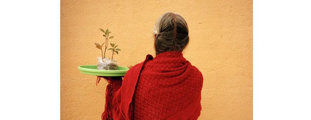 Lady with shawl