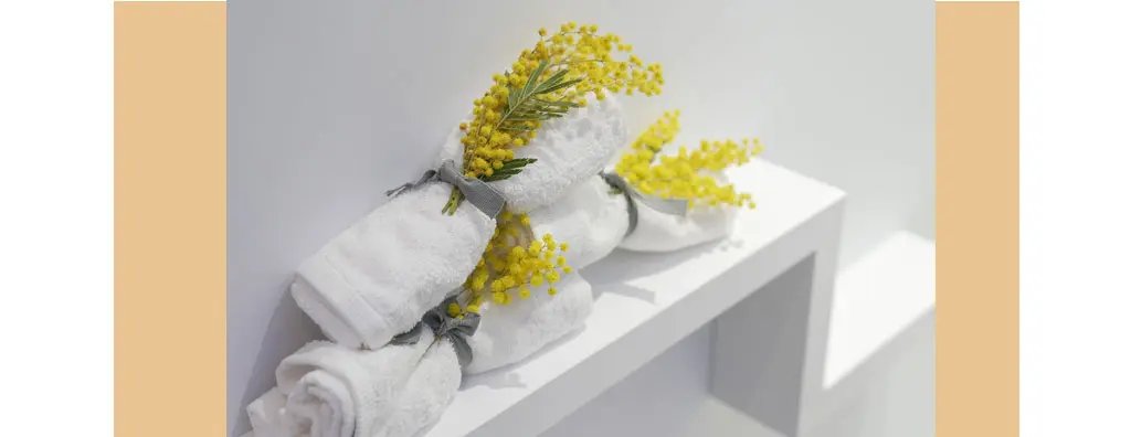 Mimosa on towels