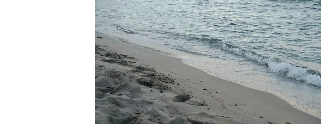 Seashore