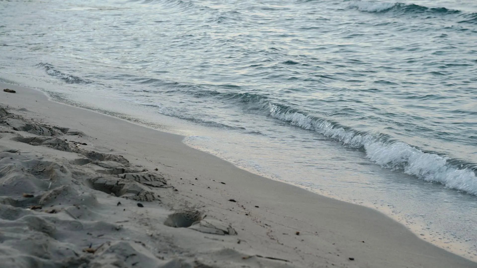 Seashore