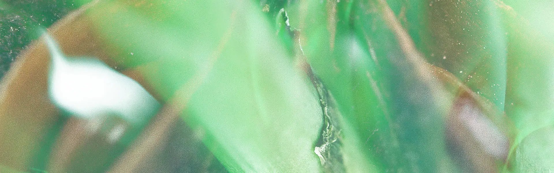 Artistic impression of the ingredient