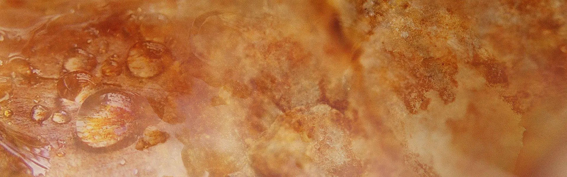 Artistic impression of the ingredient
