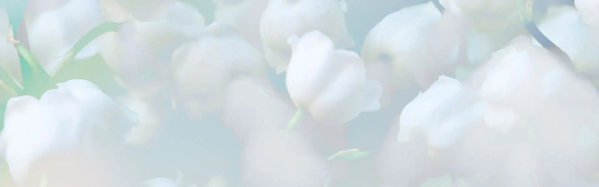 Artistic impression of the ingredient