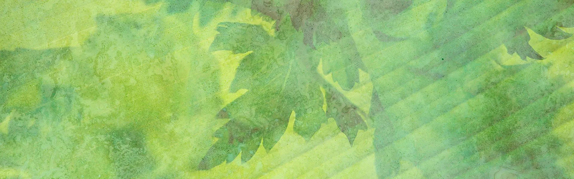 Artistic impression of the ingredient