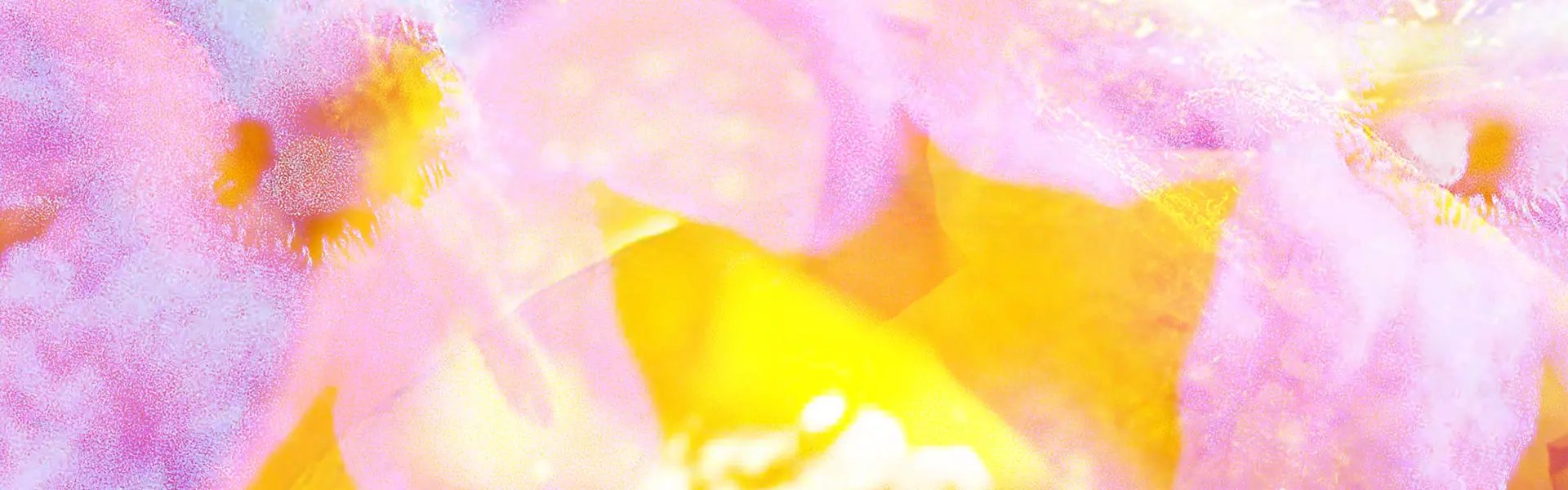 Artistic impression of the ingredient