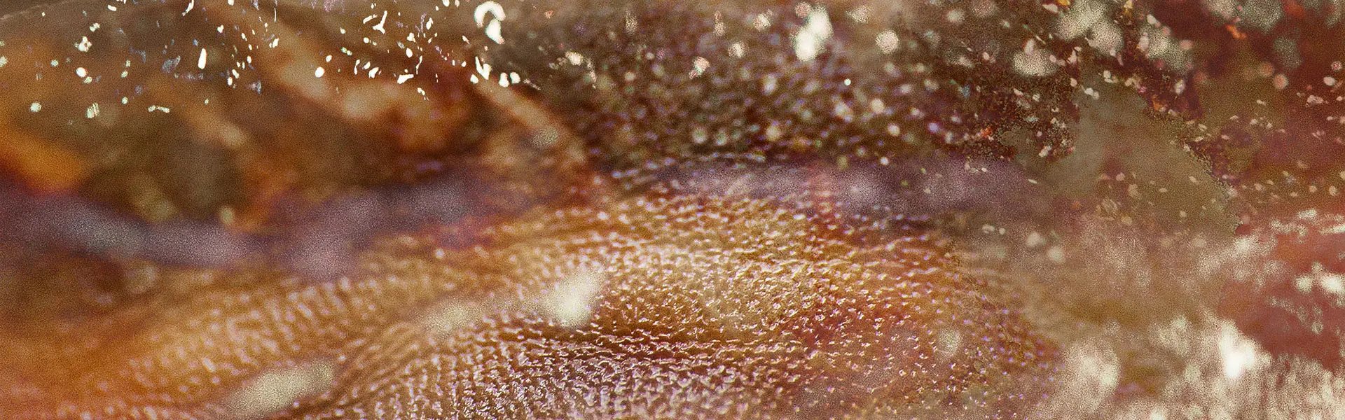 Artistic impression of the ingredient