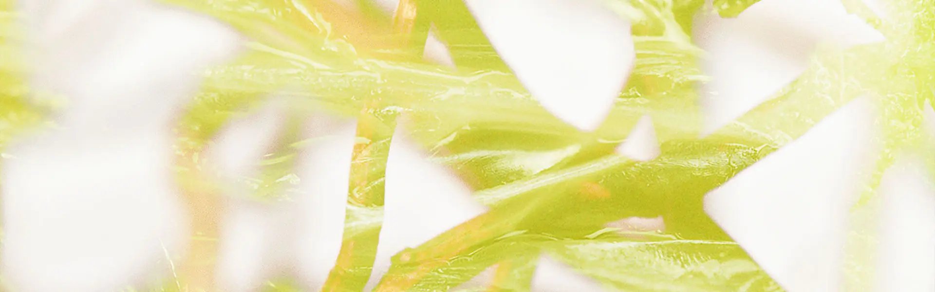 Artistic impression of the ingredient
