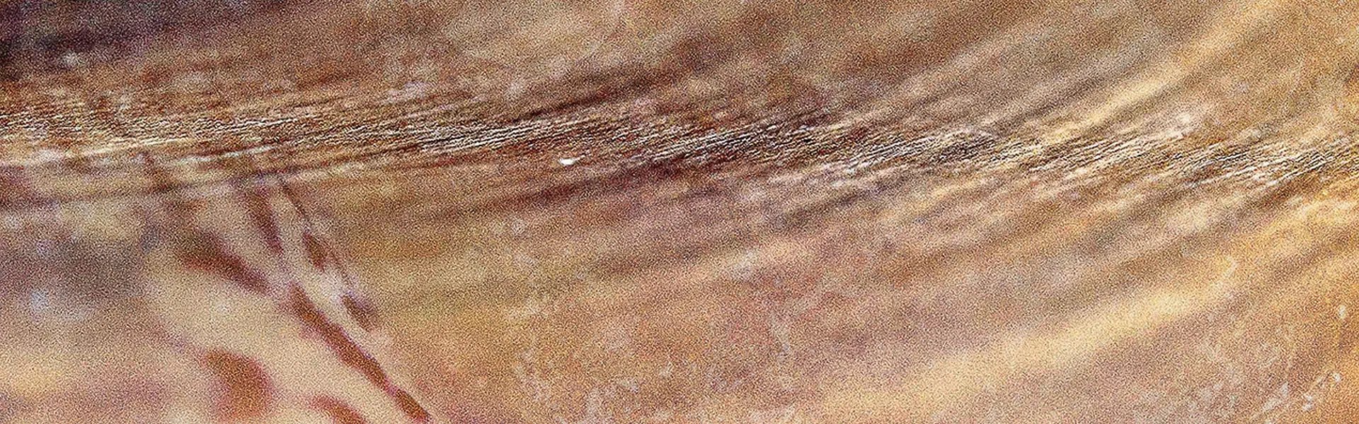 Artistic impression of the ingredient