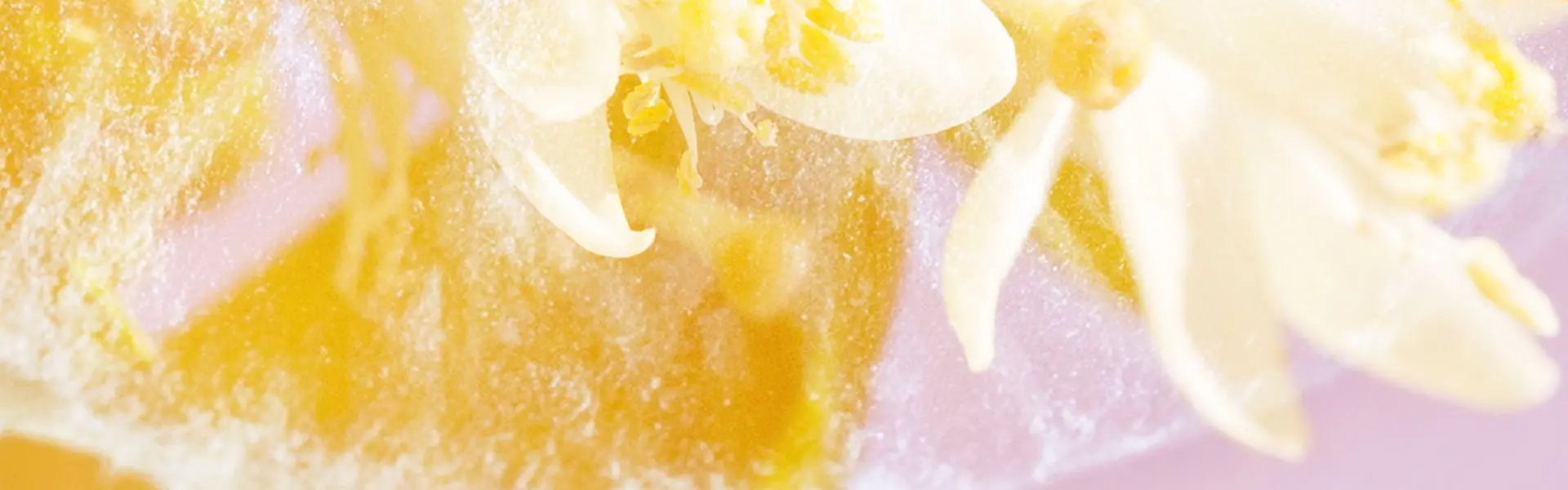 Artistic impression of the ingredient