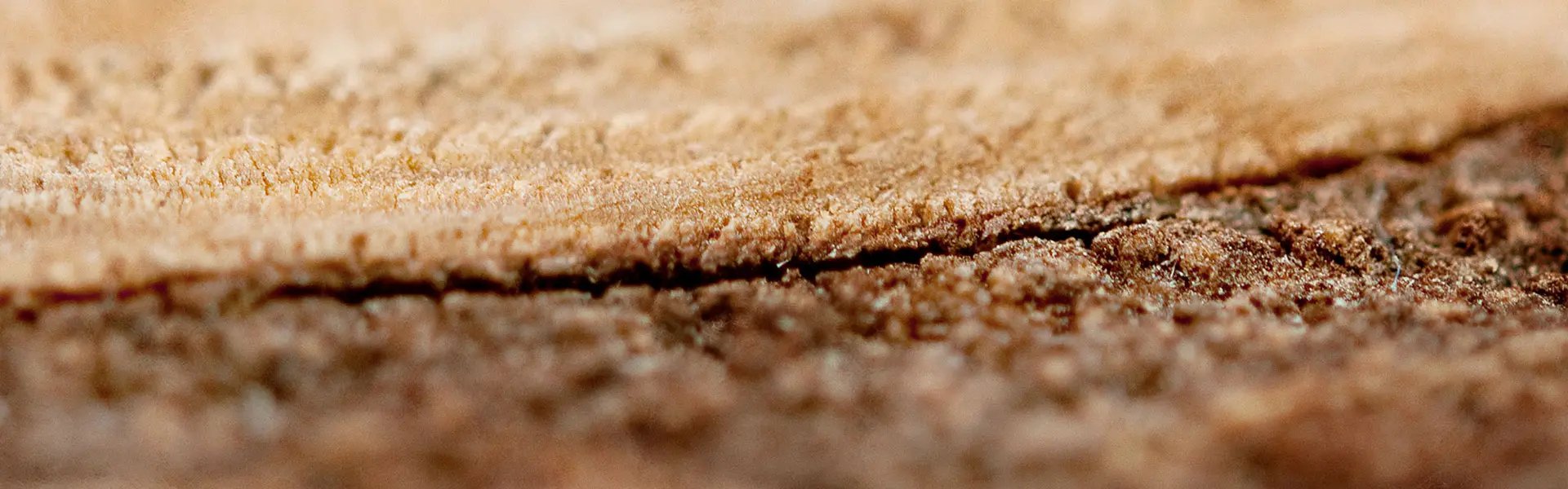 Artistic impression of the ingredient