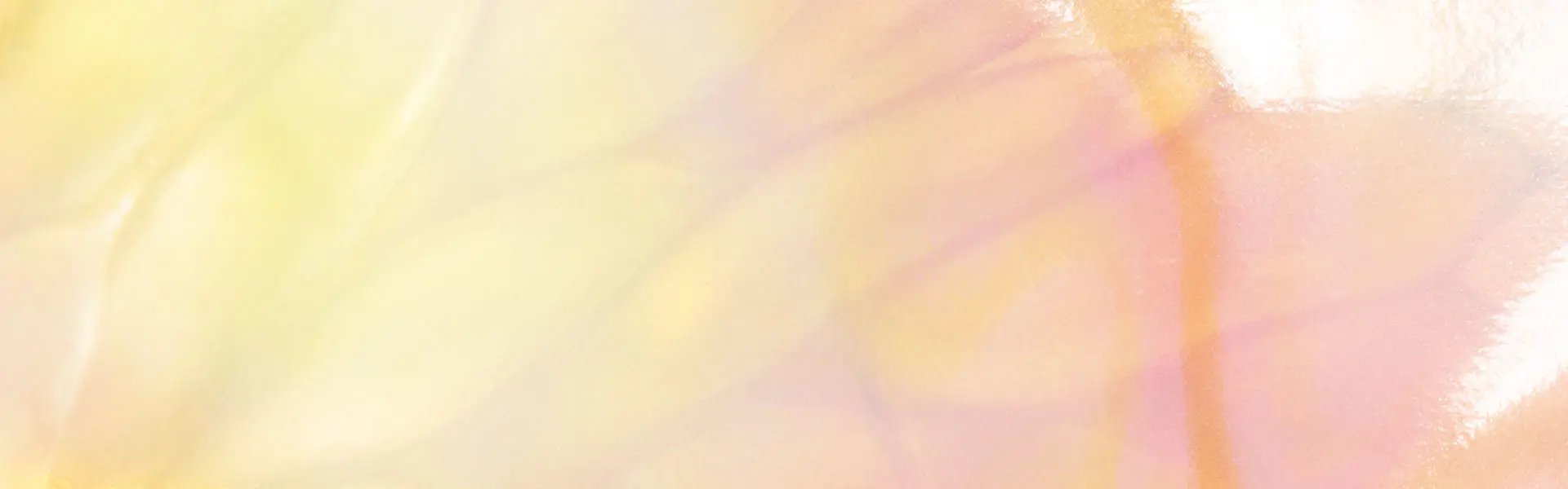 Artistic impression of the ingredient