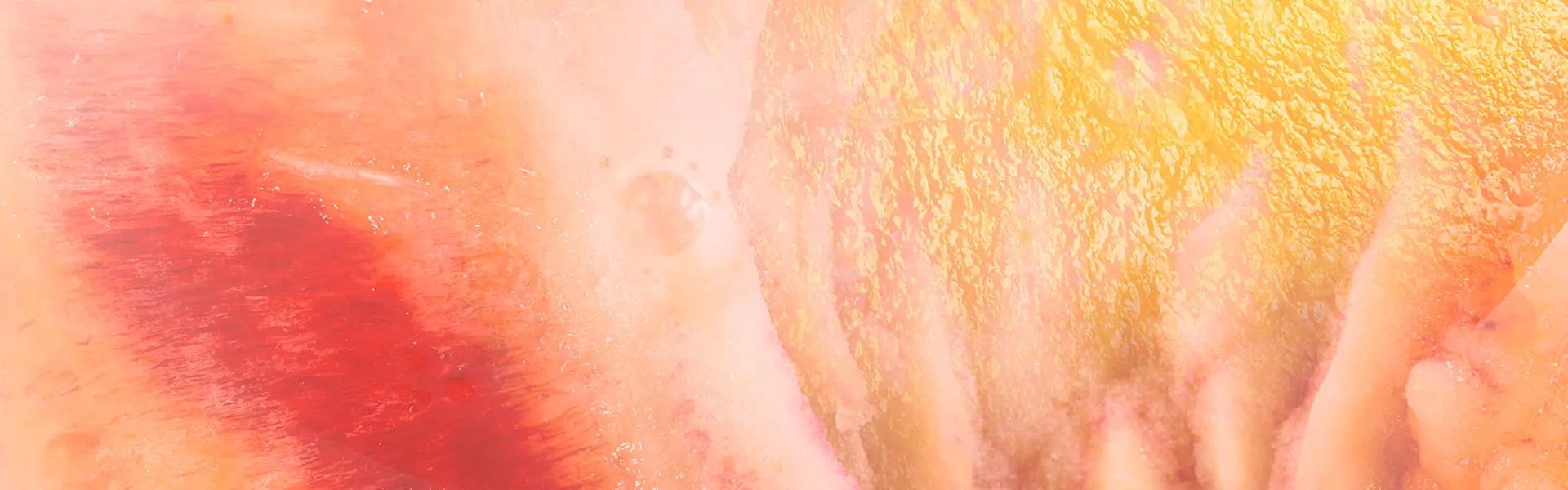 Artistic impression of the ingredient