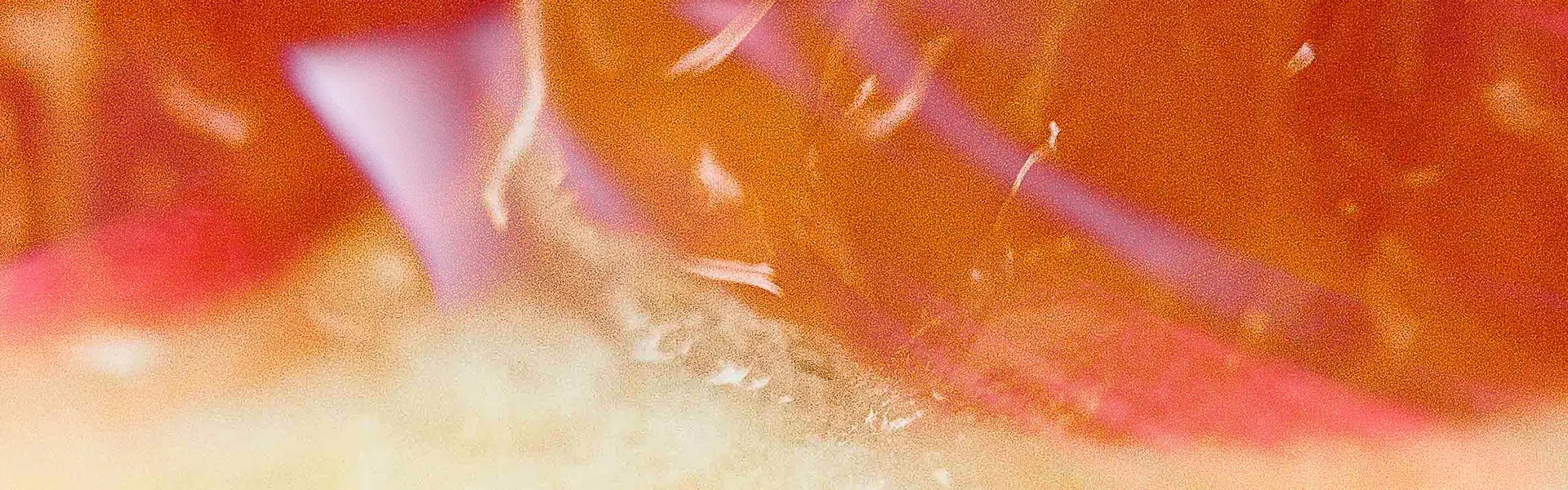 Artistic impression of the ingredient
