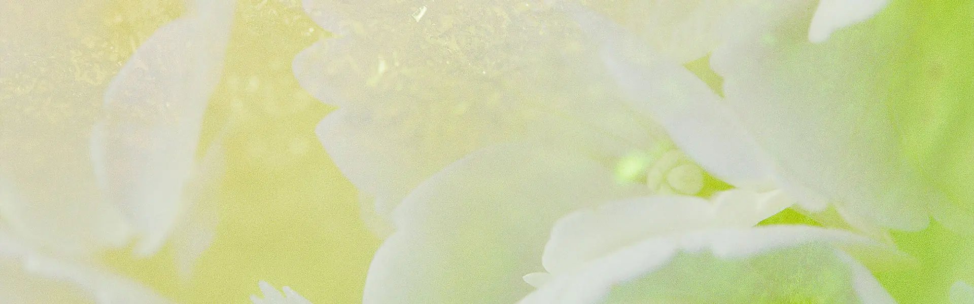 Artistic impression of the ingredient
