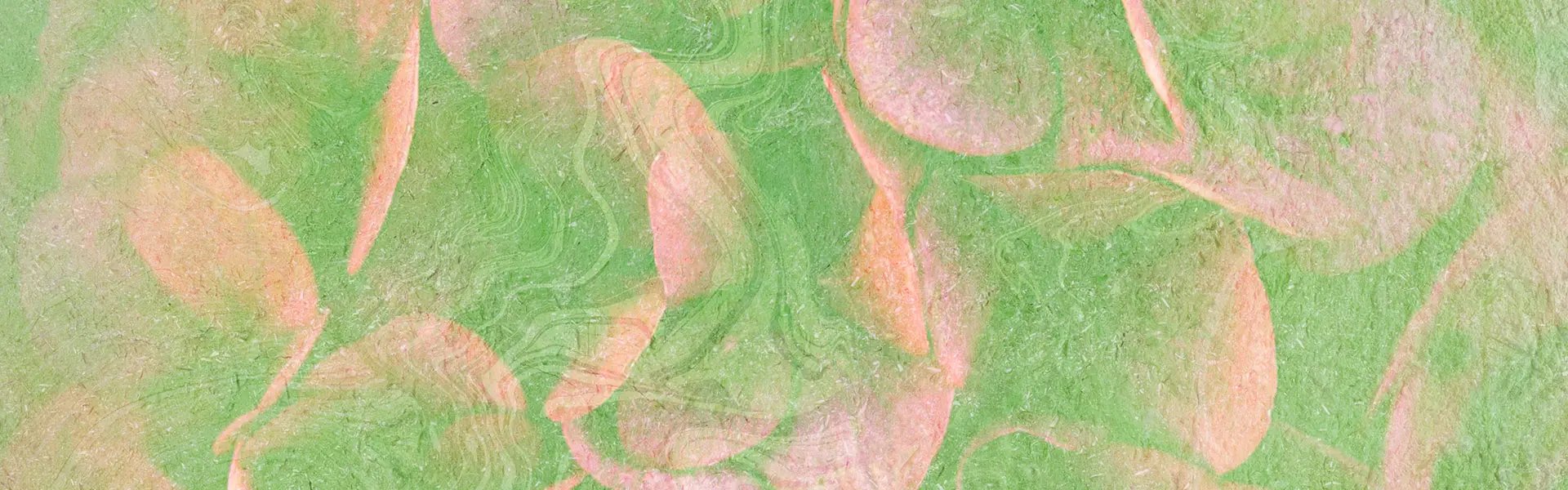 Artistic impression of the ingredient