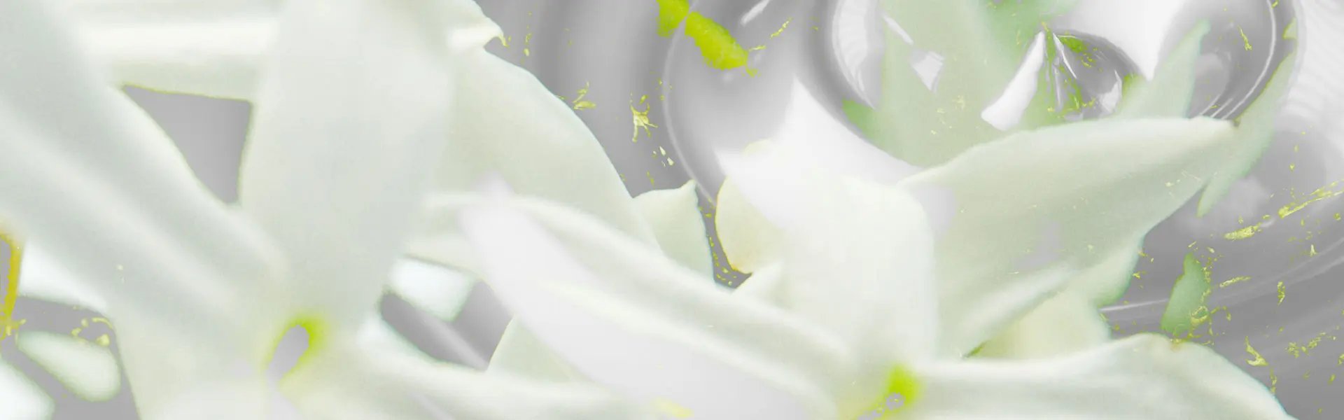 Artistic impression of the ingredient
