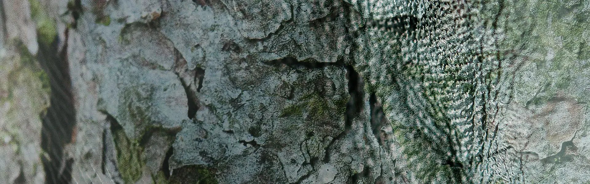 Artistic impression of the ingredient