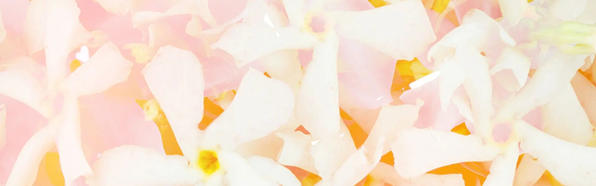 Artistic impression of the ingredient