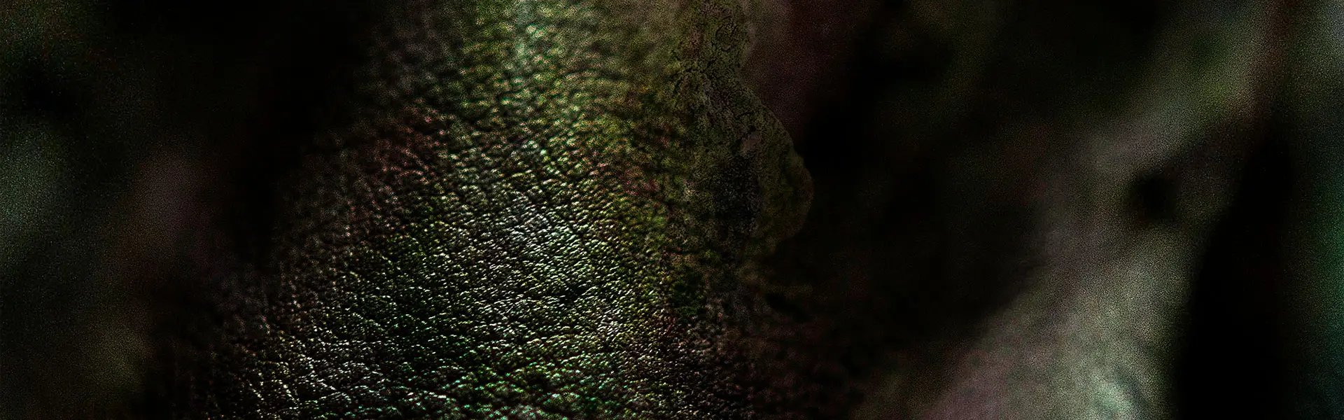Artistic impression of the ingredient