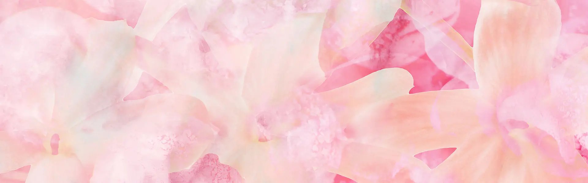 Artistic impression of the ingredient