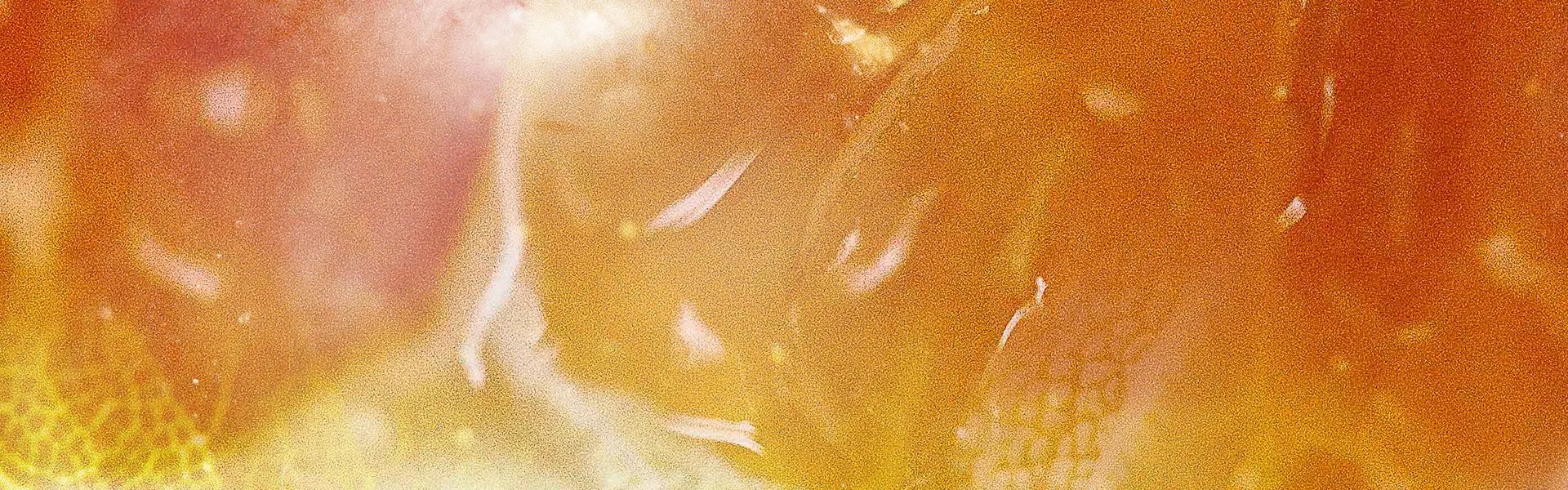 Artistic impression of the ingredient
