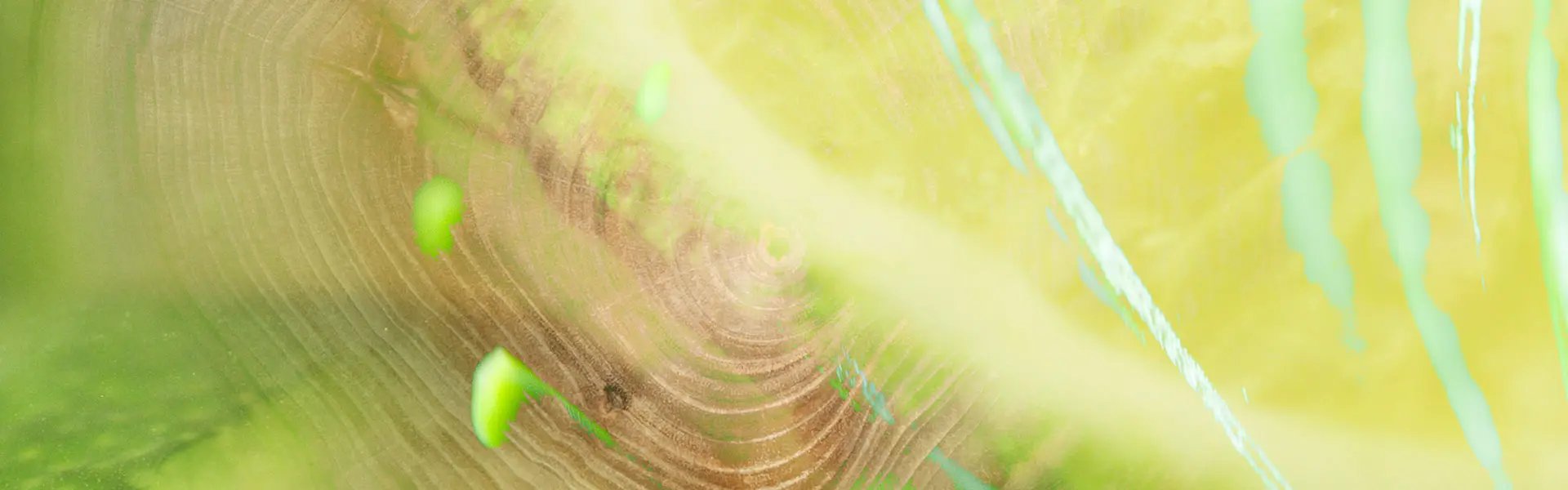 Artistic impression of the ingredient