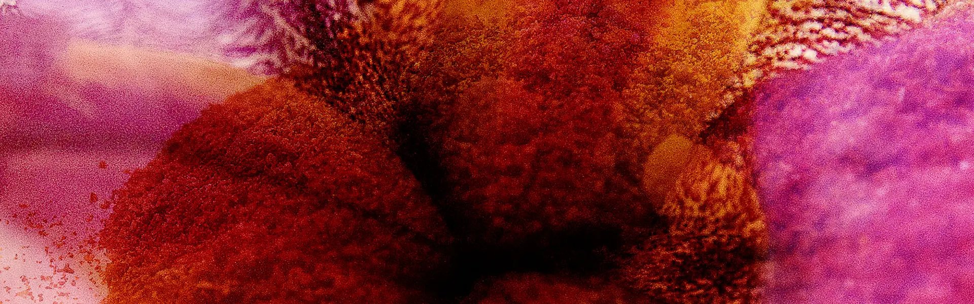 Artistic impression of the ingredient